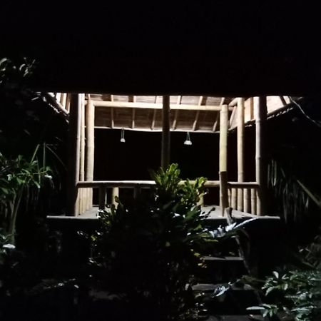 Bali Mountain Forest Cabin Penebel Exteriér fotografie