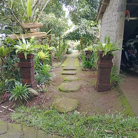 Bali Mountain Forest Cabin Penebel Exteriér fotografie