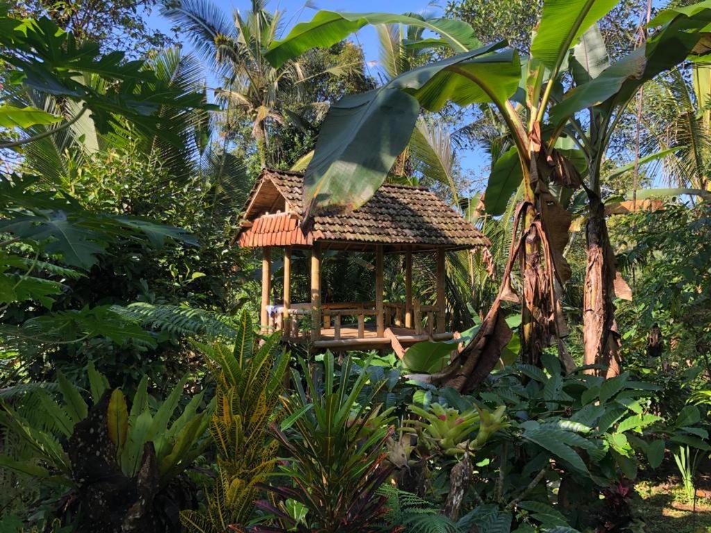 Bali Mountain Forest Cabin Penebel Exteriér fotografie