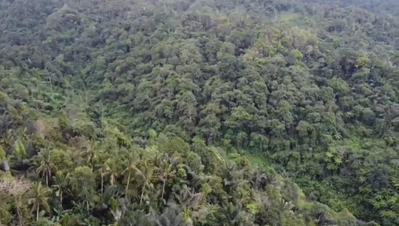 Bali Mountain Forest Cabin Penebel Exteriér fotografie