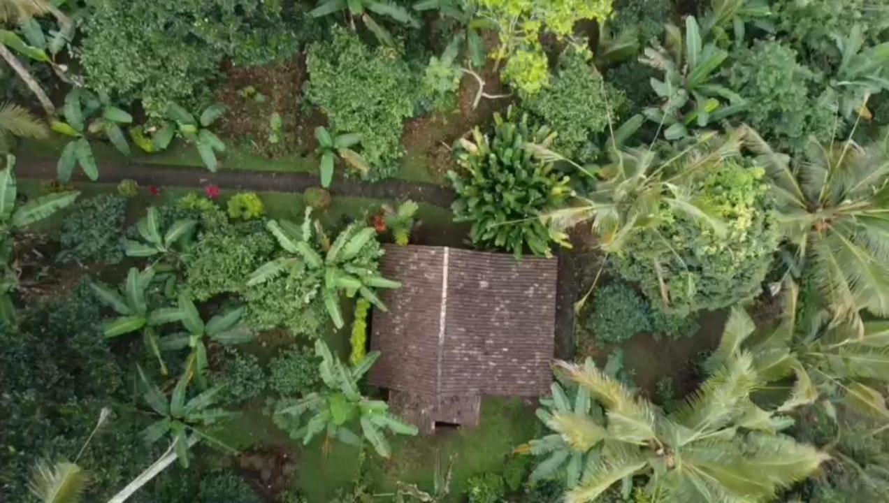 Bali Mountain Forest Cabin Penebel Pokoj fotografie