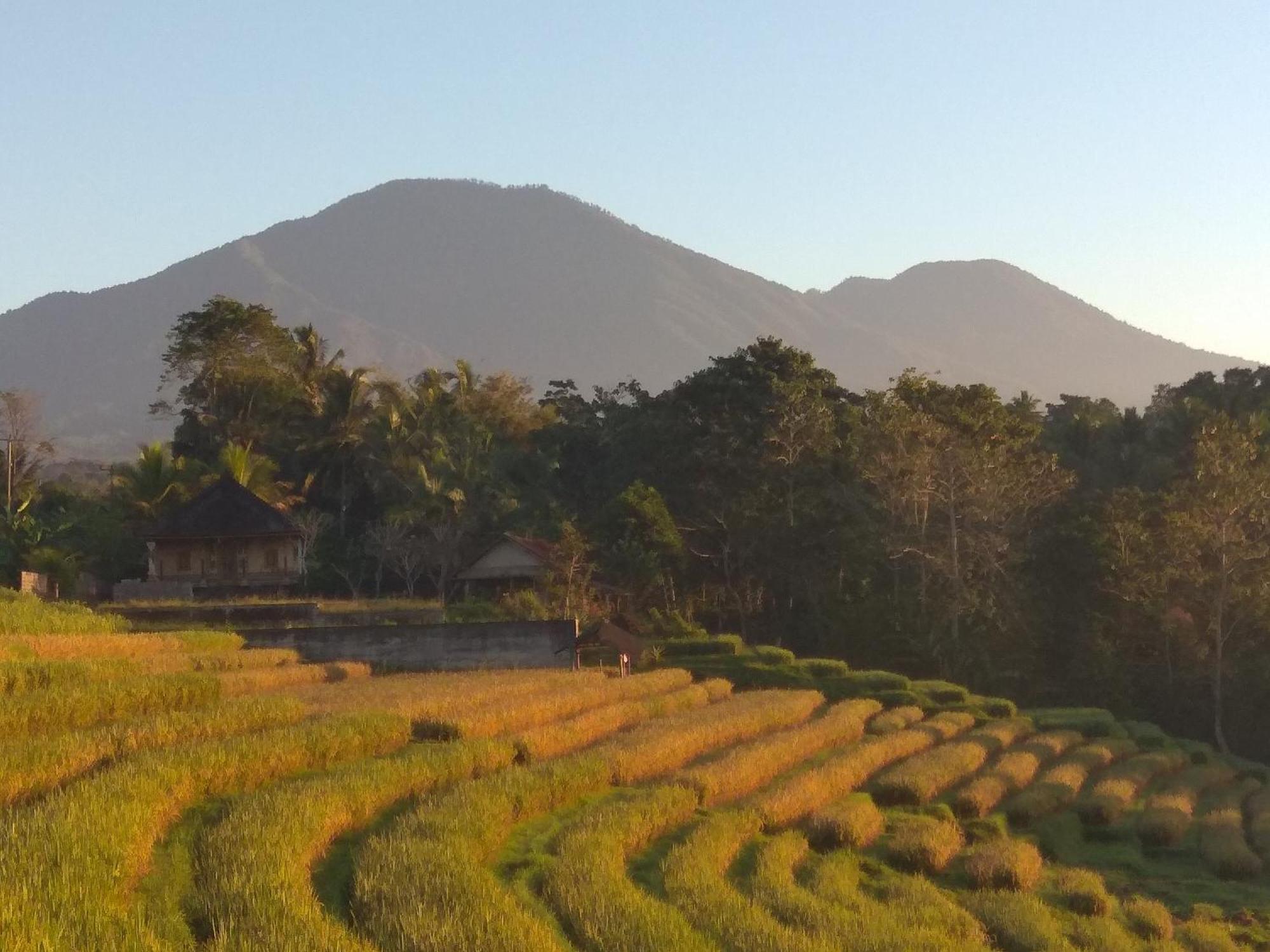 Bali Mountain Forest Cabin Penebel Pokoj fotografie