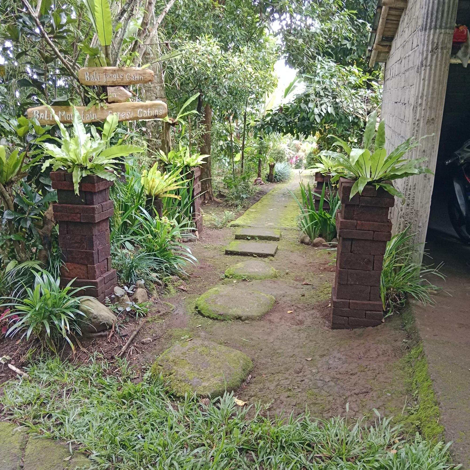 Bali Mountain Forest Cabin Penebel Pokoj fotografie