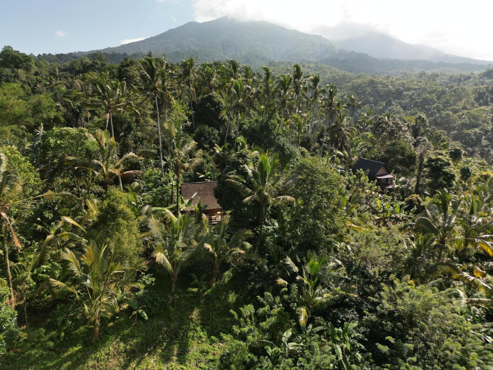 Bali Mountain Forest Cabin Penebel Pokoj fotografie