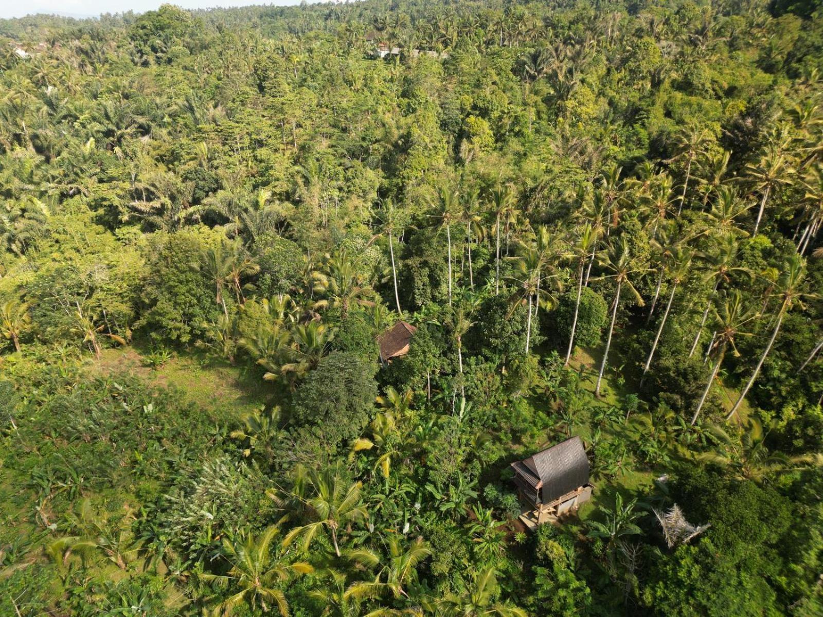 Bali Mountain Forest Cabin Penebel Pokoj fotografie