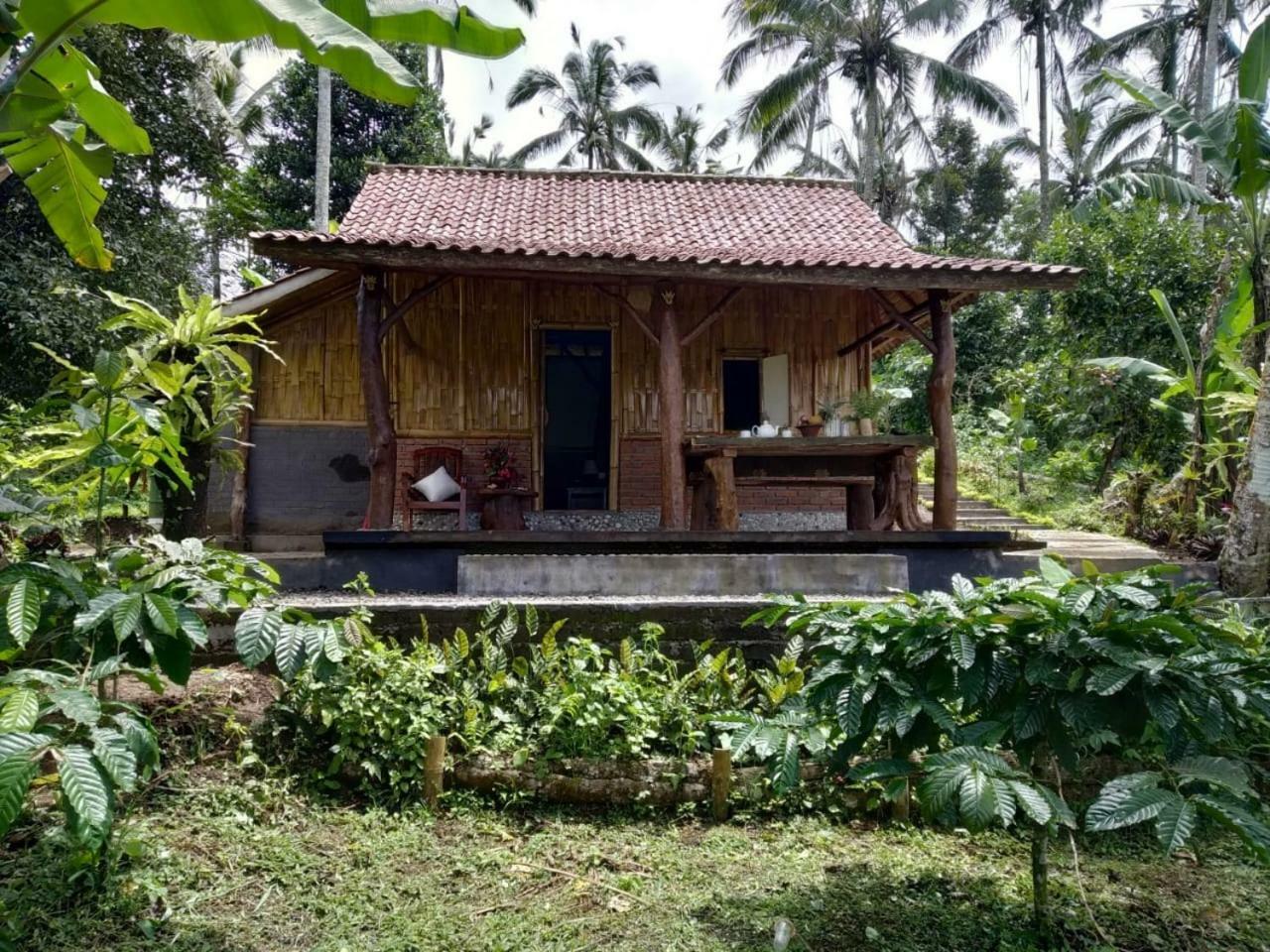 Bali Mountain Forest Cabin Penebel Exteriér fotografie