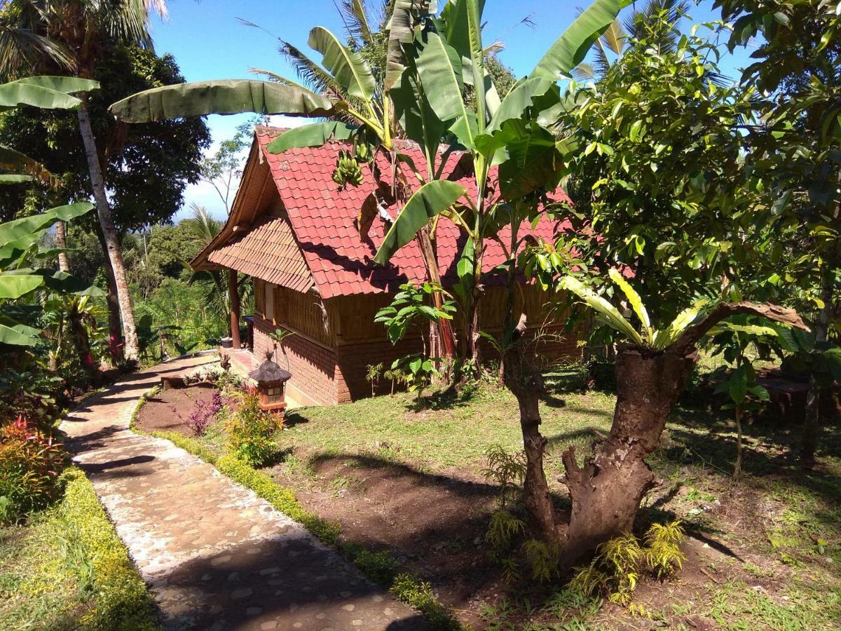 Bali Mountain Forest Cabin Penebel Exteriér fotografie